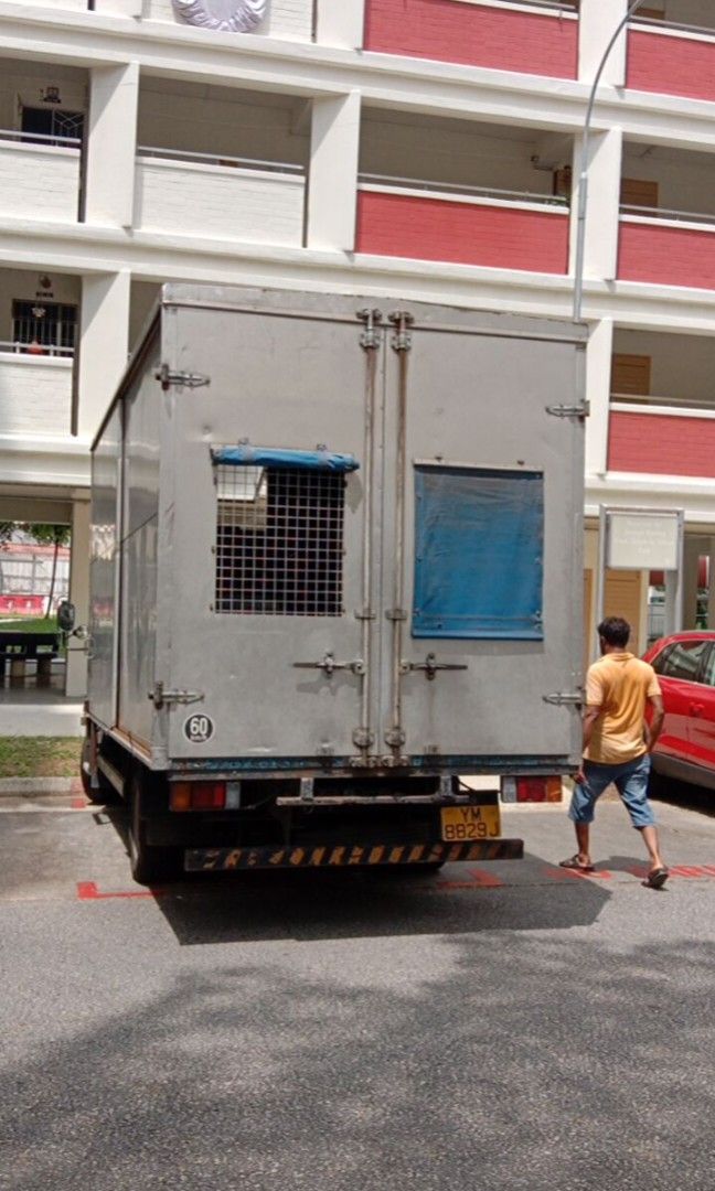 Mover and Disposal service and fish tank mover and hospital bed mover