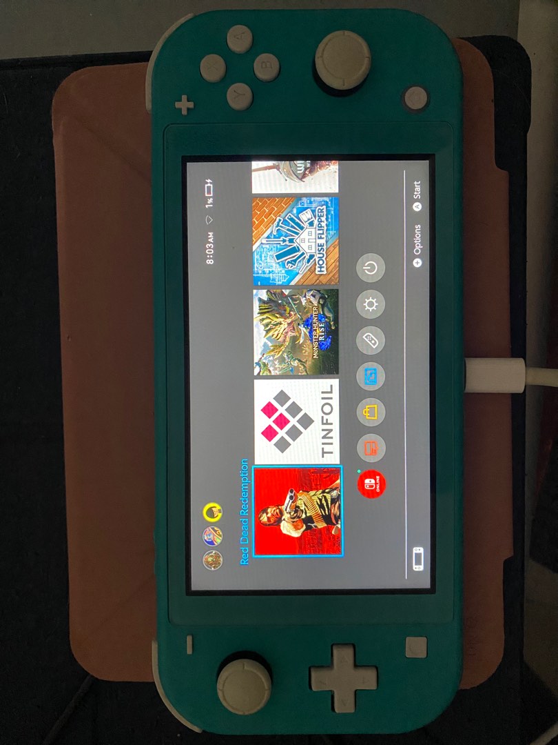 Nintendo switch lite jailbreak, Video Gaming, Video Game Consoles