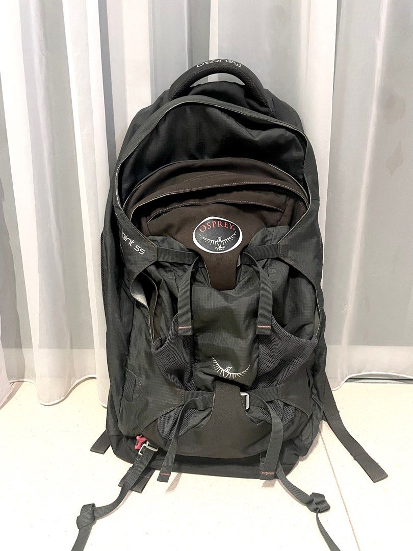 Osprey backpack online with detachable daypack