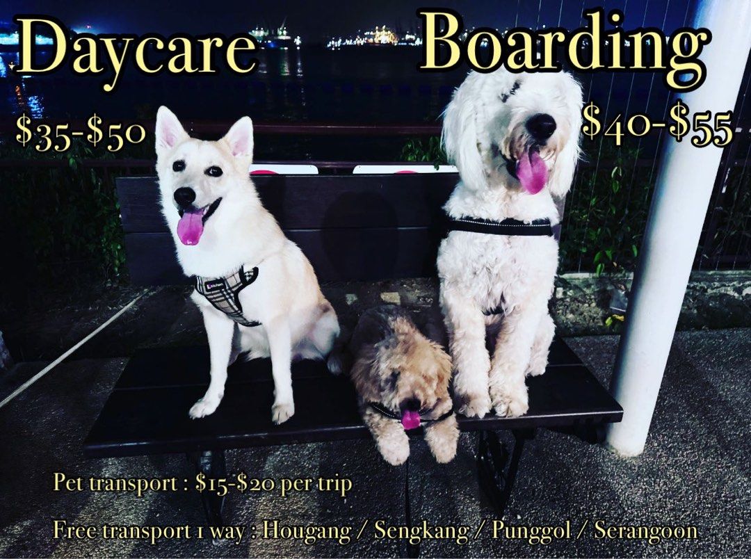 Pet hotel cost deals