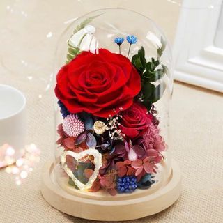 Forever Flowers Preserved Roses Gift for Women Mom Girlfriend Wife - Fresh  Real Roses Eternal Flowers Elegant Present for Valentine's Day Birthday  Anniversary Wedding Mother's Day (Sparkle Red) - Blue 