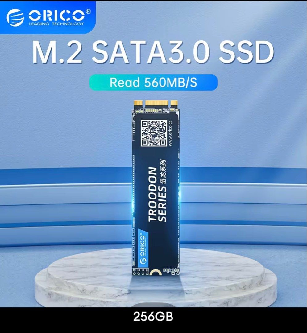 M.2 NVMe SSD 512GB - Troodon Series - Orico