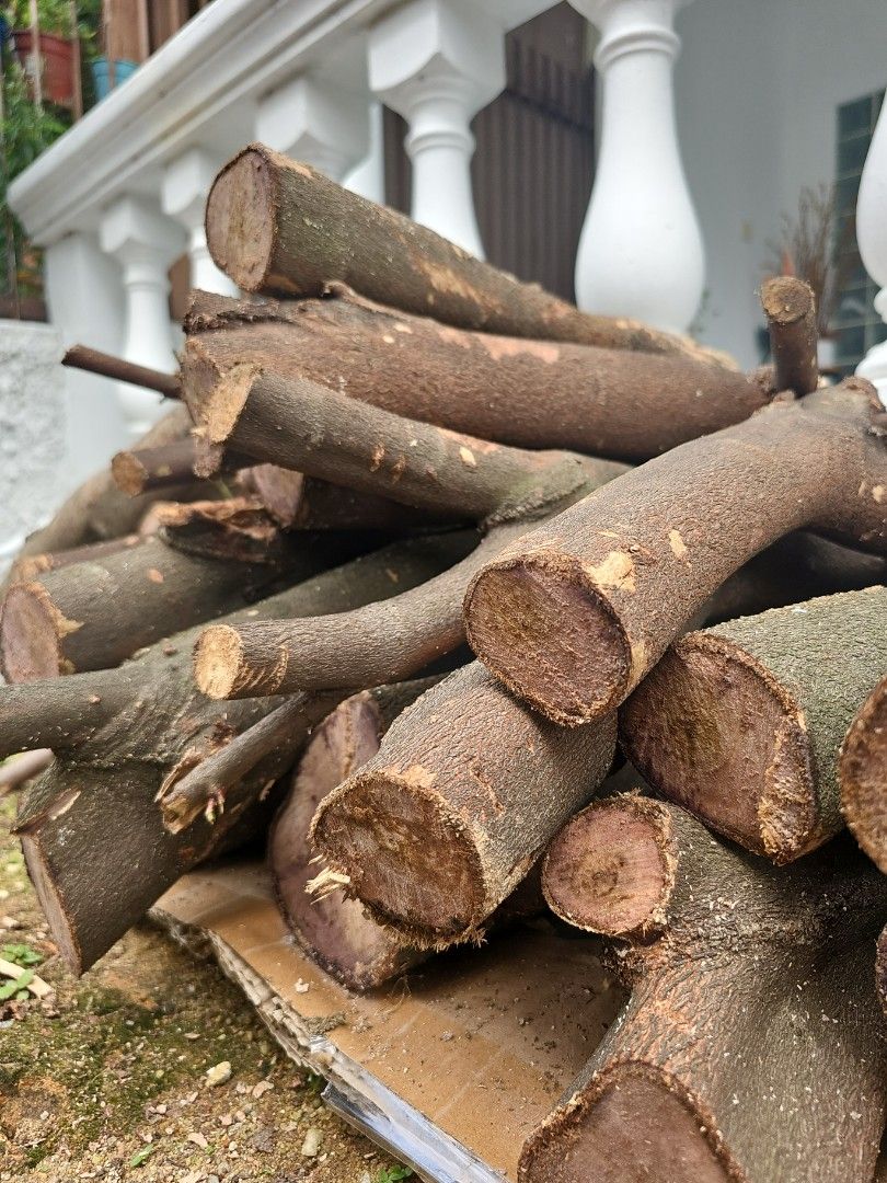 Thick Tree Branches, Furniture & Home Living, Home Decor, Other Home