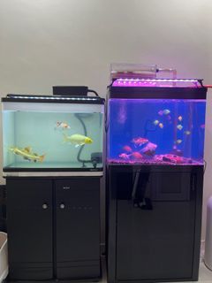 Two Fish Tanks (Good Condition)