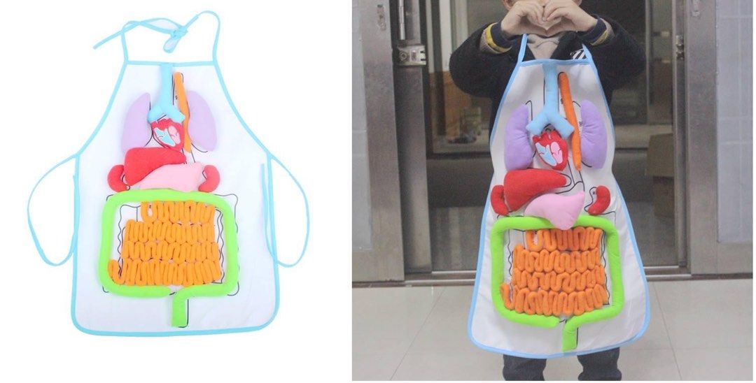 Anatomy Apron Human Body Organ Educational Tool Children Preschool