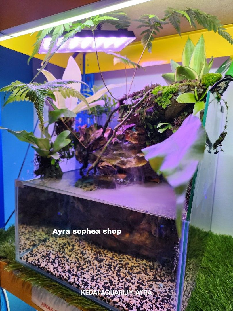 Aquarium Aquascape Full Set Pet Supplies Homes Other Pet