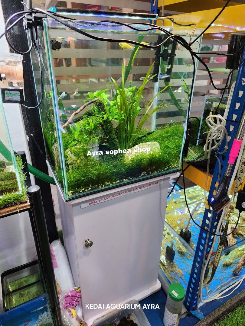 Cheras aquarium shop shop
