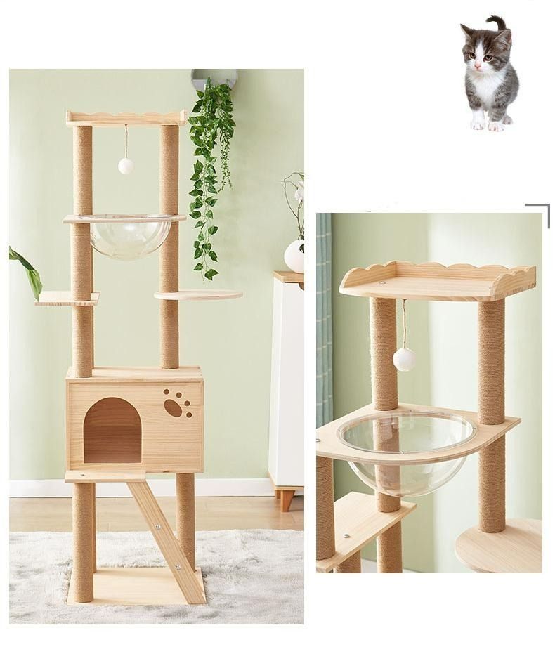 Deluxe cat sale condo