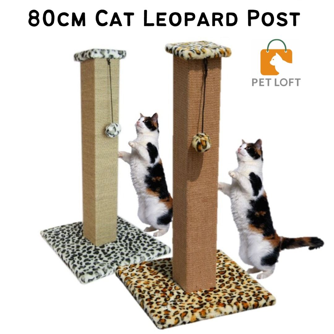 80cm cat hotsell scratching post
