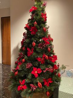 (Category: ) located in . Submitted by torbros (Listing ID 1261868043, Image 1). Description: .