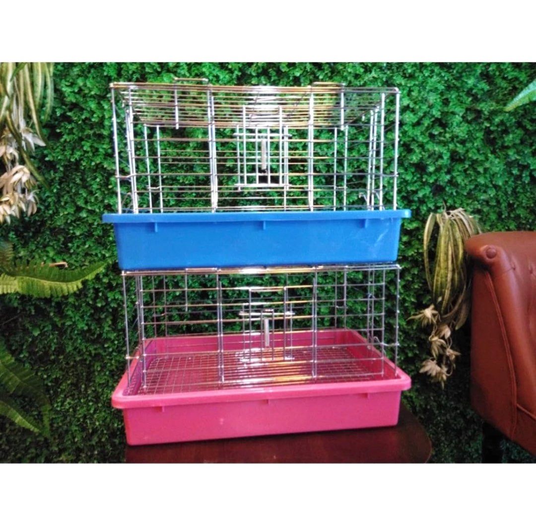 Second hand deals guinea pig cage