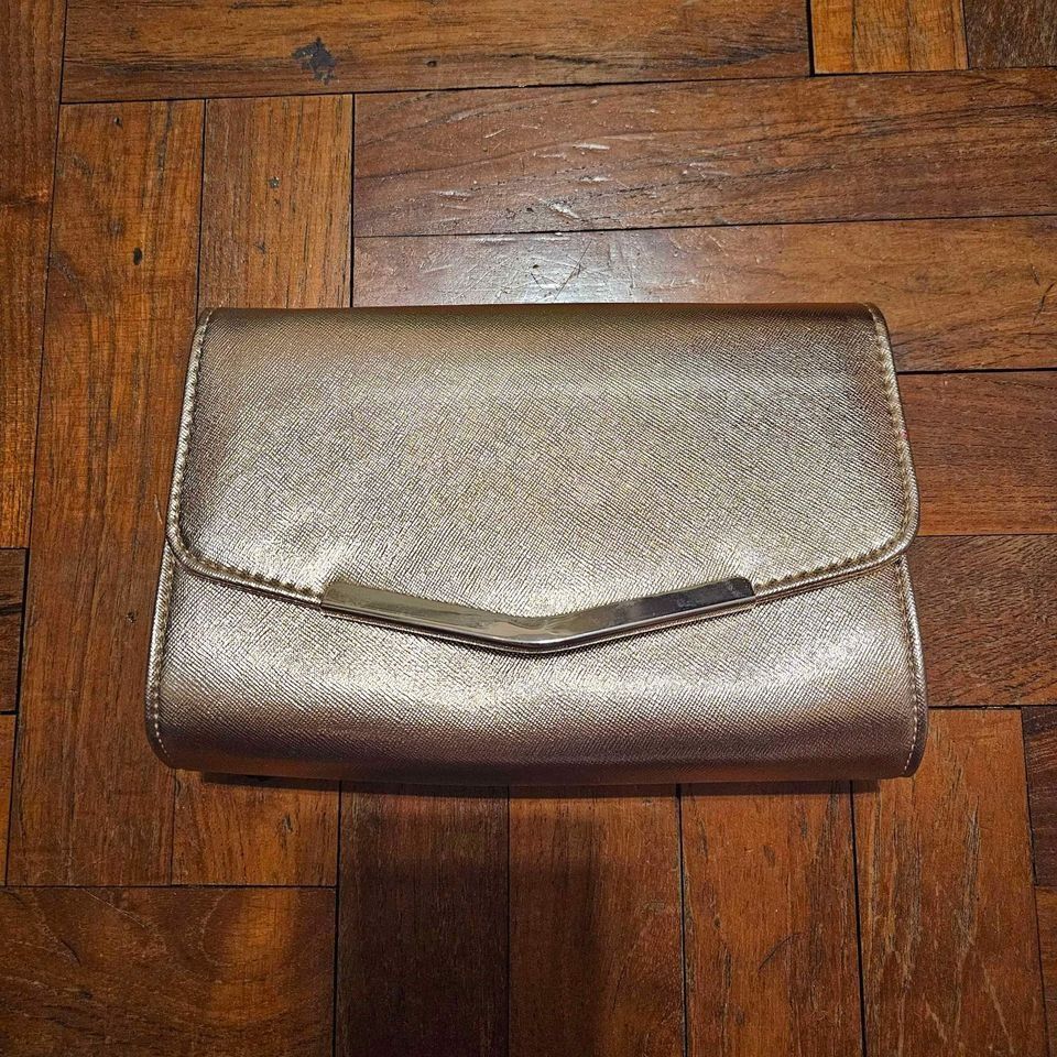 Colette best sale silver clutch