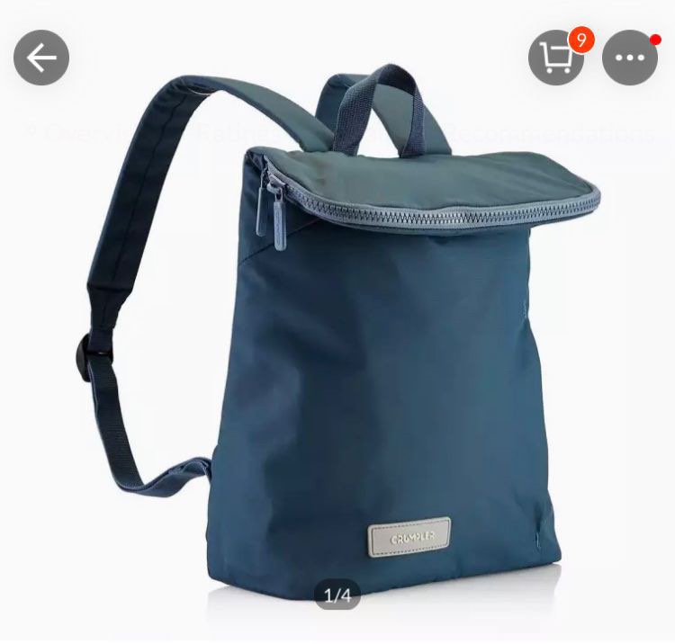 Crumpler amplitude hot sale backpack