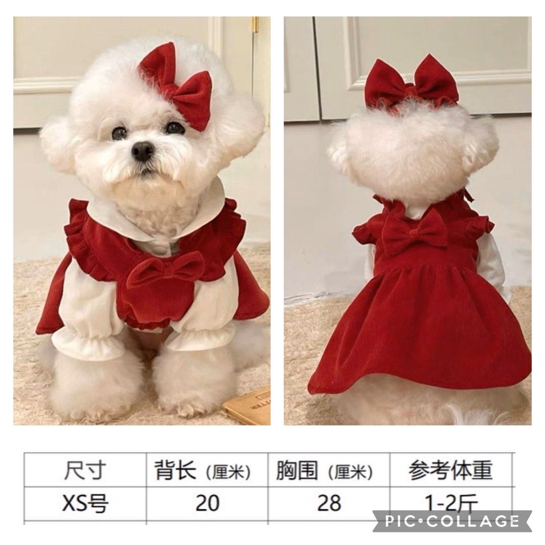 Dog clothes online dresses