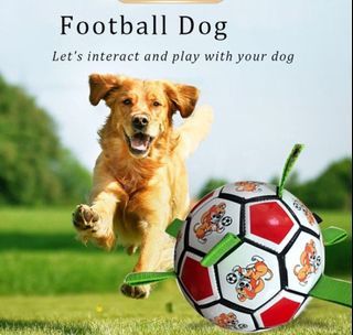 https://media.karousell.com/media/photos/products/2023/10/24/dog_toys_interactive_pet_footb_1698152276_13548dcd_progressive_thumbnail