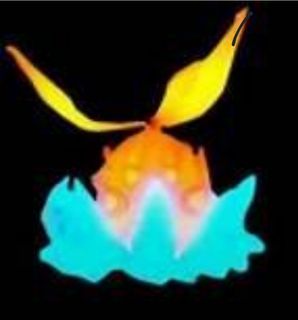 （分類：）位於 。 由 timtin132462950 提交（商品編號 1261863099，圖片 1）。簡介： 。