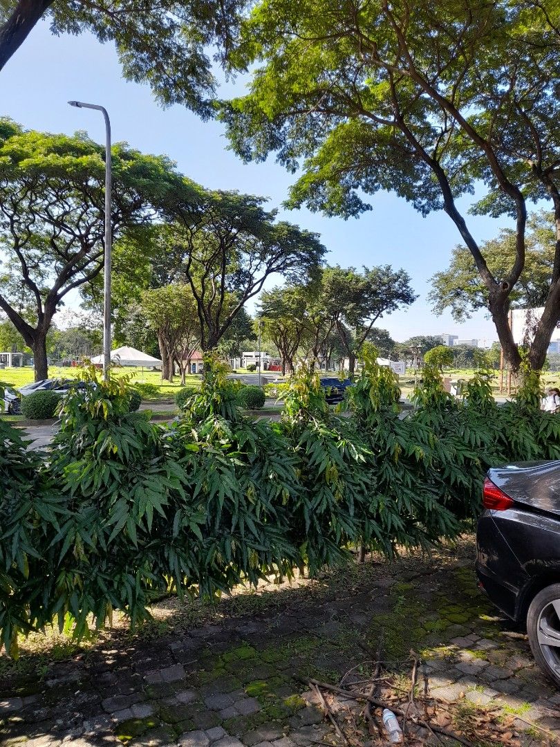 Heritage Park Fort Bonifacio, Property, For Sale, Memorial Lot on Carousell