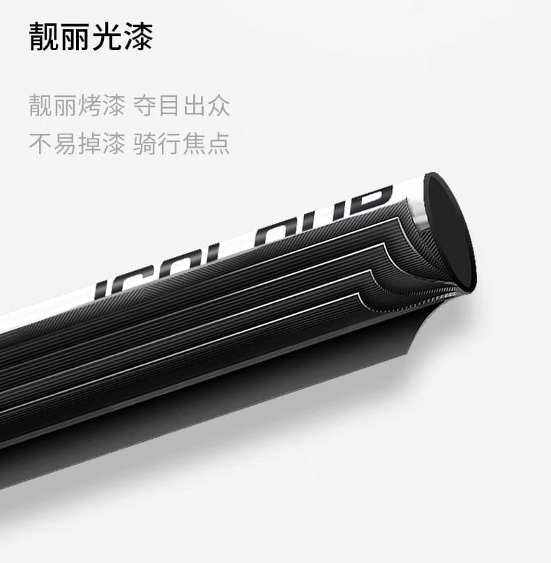 icolour mountain bike specs