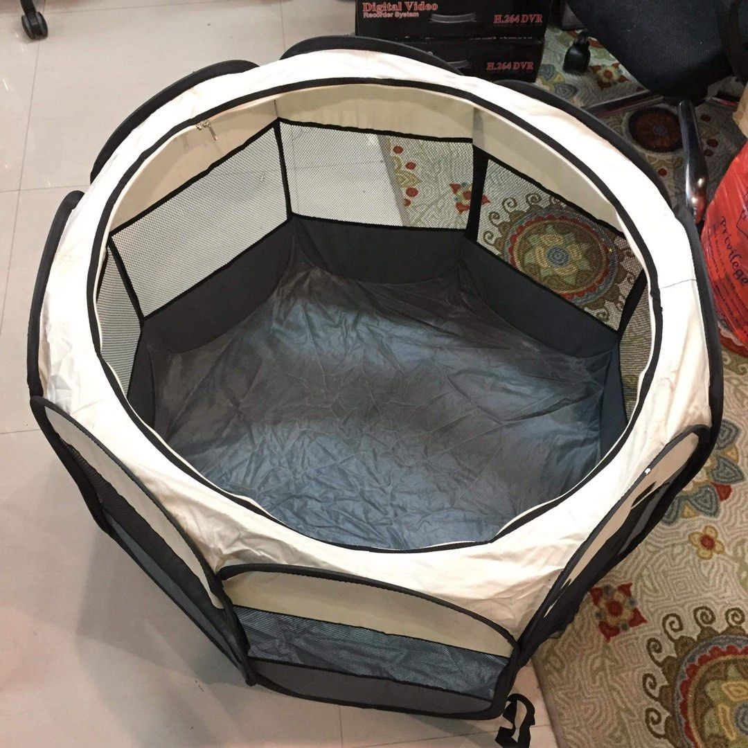 Dog tent on sale kmart