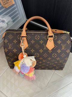 New for 2022 ♥ Short Strap with Buckle for LV Speedy 25, 30 and 35, Luxury,  Accessories on Carousell