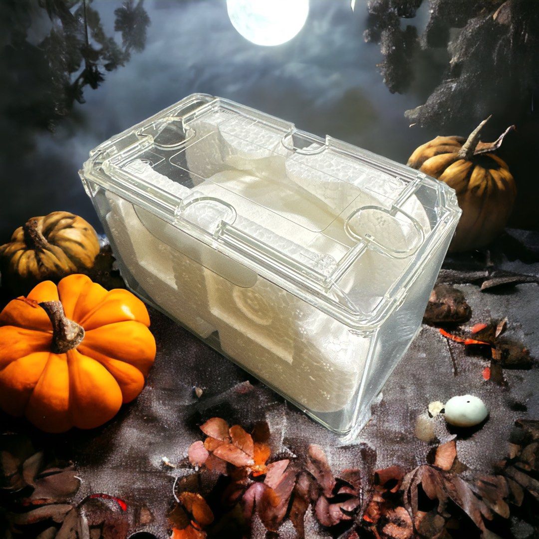 Rolex online coffin case