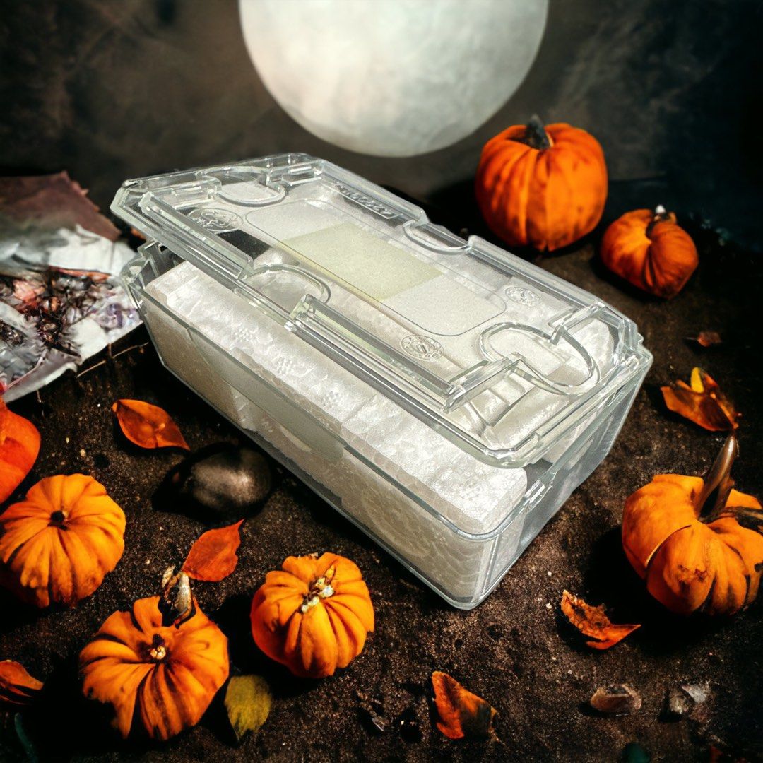 Rolex coffin case cheap