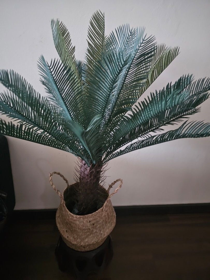 Palm tree, Furniture & Home Living, Home Decor, Artificial Plants