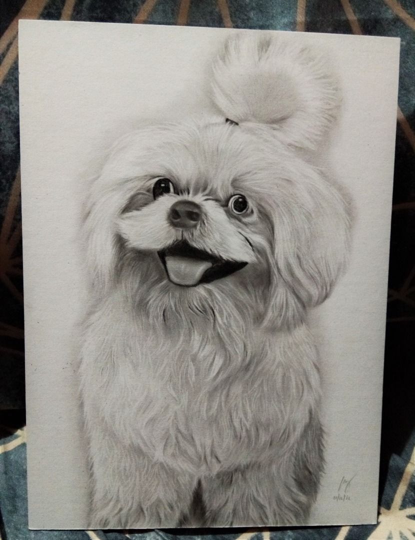 PET PORTRAIT / ANIMAL PORTRAIT (Category: Art & Prints) located in Las Pinas. Submitted by msvicto (Listing ID 1261781299, Image 2). Description: Send me a message for a customized drawing of your fur babies! .