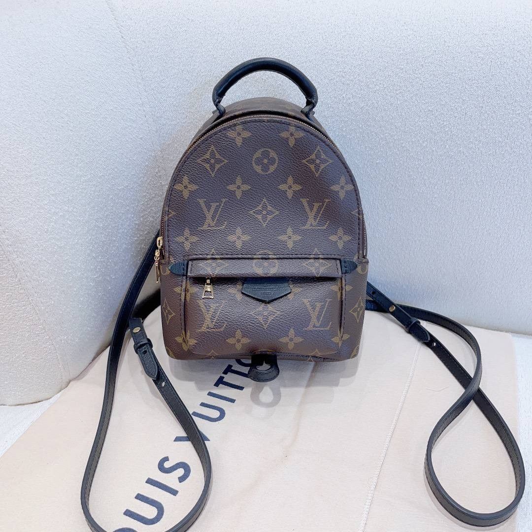 Louis Vuitton Palm Springs Mini Monogram Backpack, Luxury, Bags & Wallets  on Carousell