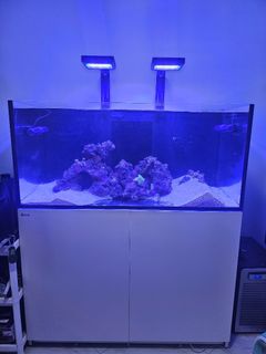 (Category: ) located in . Submitted by ndhfro (Listing ID 1261789614, Image 1). Description: .