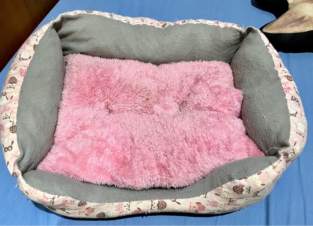 Small Pet Bed Pet Supplies Homes Other Pet Accessories On Carousell small-pet-bed-pet-supplies-homes-other-pet-accessories-on-carousell