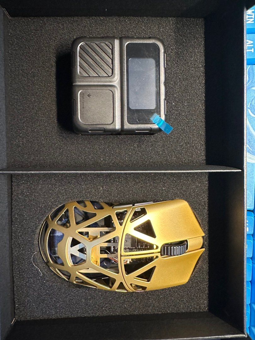 WLMOUSE BEASTX, Computers & Tech, Parts & Accessories, Mouse 