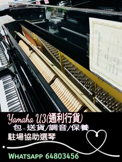 （分類：）位於 。 由 mushroom62072929 提交（商品編號 1261837581，圖片 1）。簡介： 。
