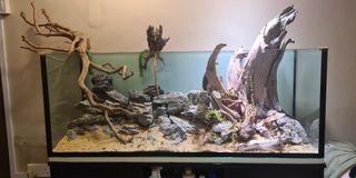 (Category: ) located in . Submitted by jerryjazz (Listing ID 1262018140, Image 1). Description: .
