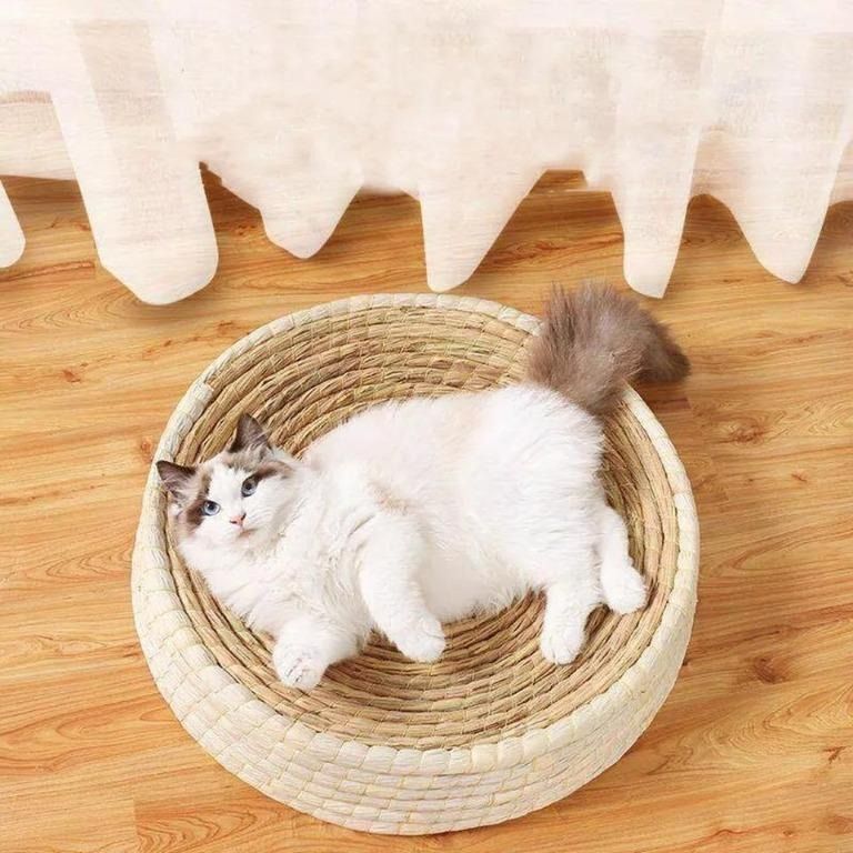 https://media.karousell.com/media/photos/products/2023/10/25/cat_bed_cat_nest_bed_grass_wov_1698210023_3038733d_progressive