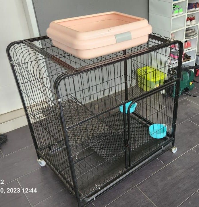 Cat cage