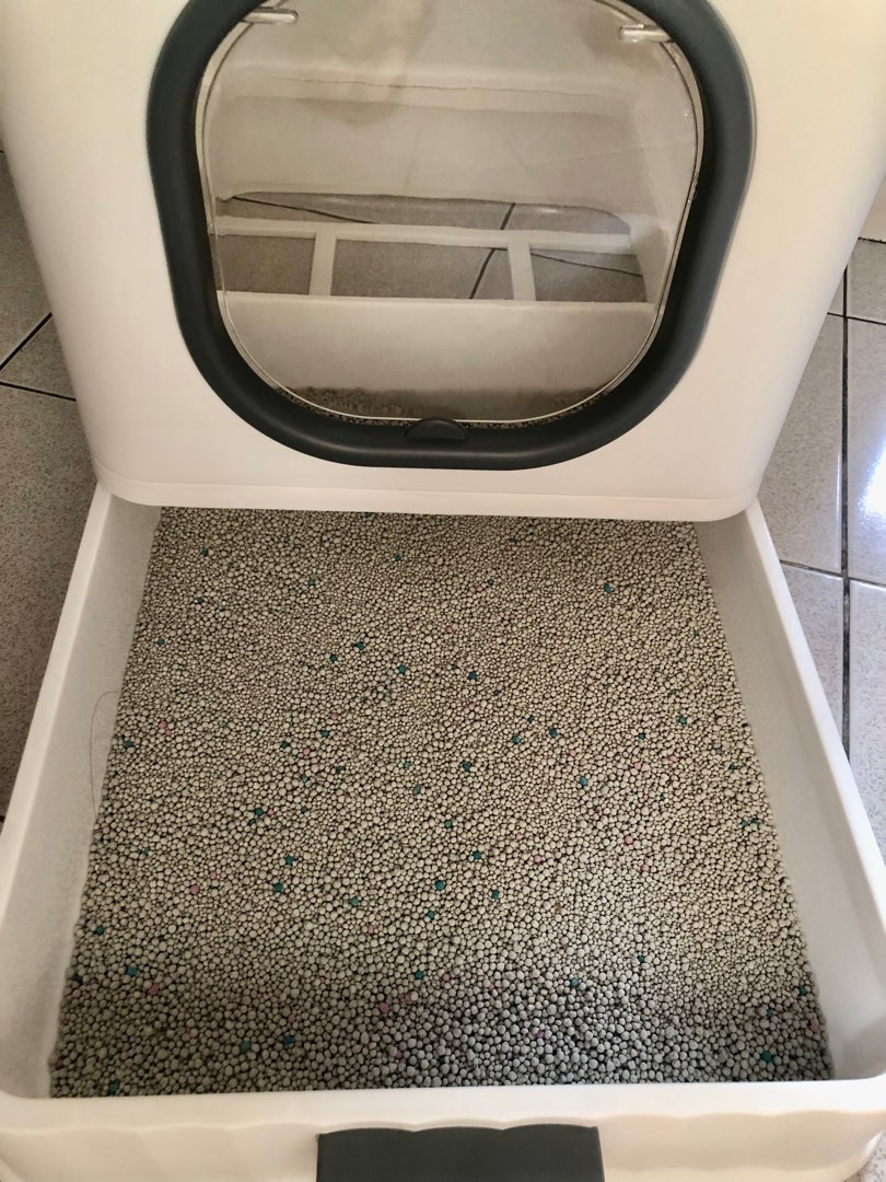 Cat litter Box, Pet Supplies, Homes & Other Pet Accessories on Carousell