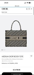 Christian Dior Book Tote Phone Bag Oblique Canvas Mini Blue 21187316