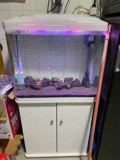 (Category: ) located in . Submitted by mamastall (Listing ID 1262001644, Image 1). Description: .