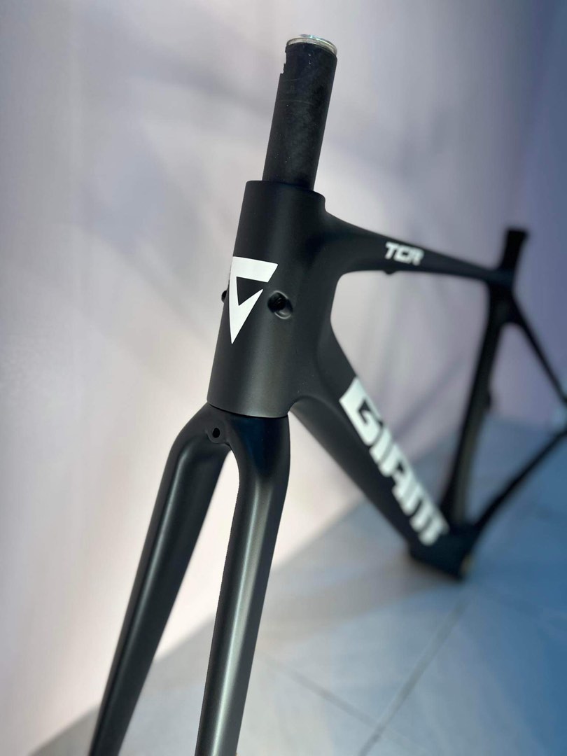 giant tcr advanced pro frameset weight