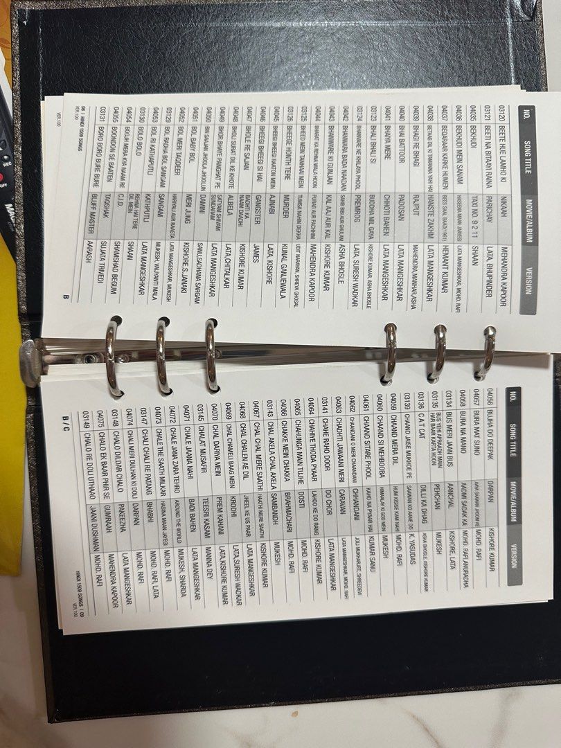 Karaoke mics with builtin system in Hindi and English , Audio, Other