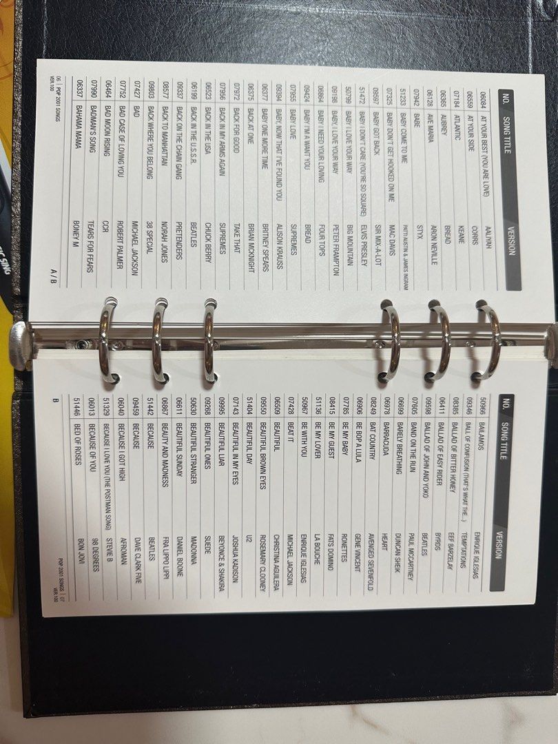 Karaoke mics with builtin system in Hindi and English , Audio, Other