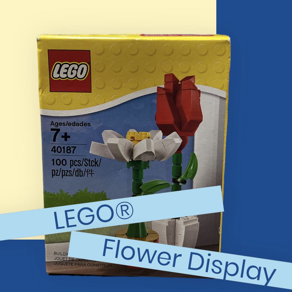 LEGO Flower Display 40187 Hobbies Toys Toys Games on Carousell