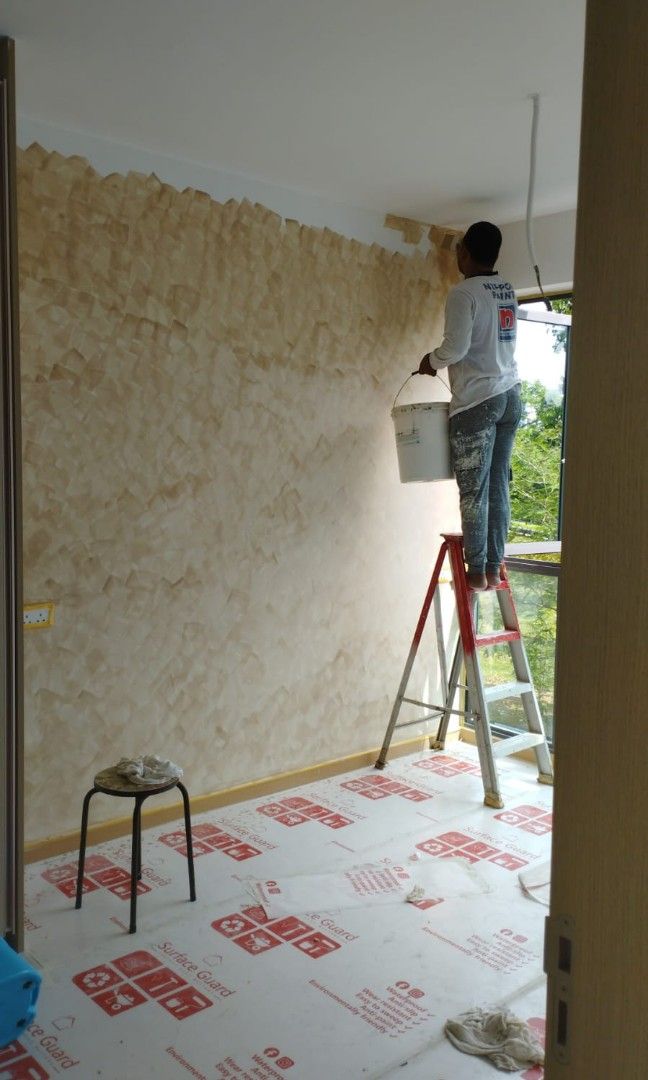 Limewash paint with resonable priceFeature wall limewashOnly wall