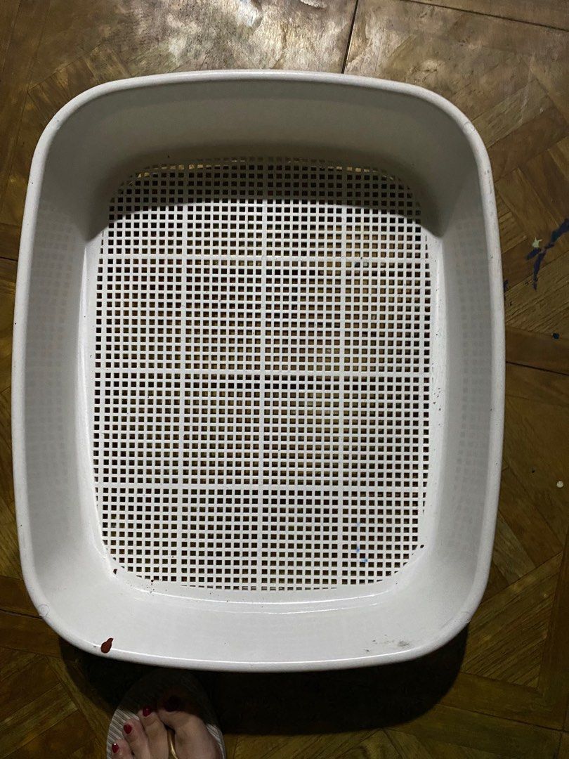 Litter box shop strainer