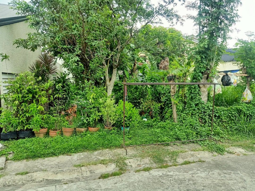Lot for sale bacoor cavite town nd country molino 3, Property, For Sale