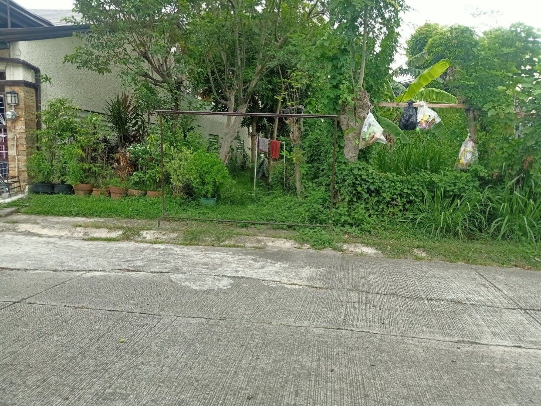 Lot for sale bacoor cavite town nd country molino 3, Property, For Sale