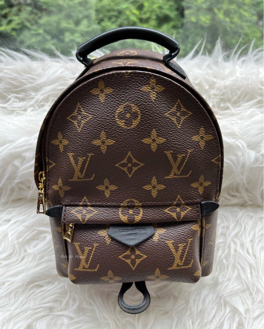 Louis Vuitton Mini Palm Spring Backpack