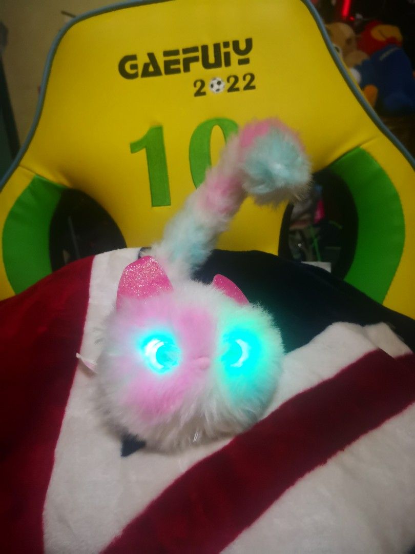Pomsies pet top