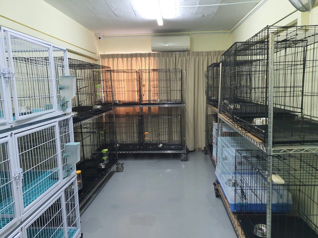 Rare Pet Shop For Takeover, Property, Rentals, Commercial on Carousell